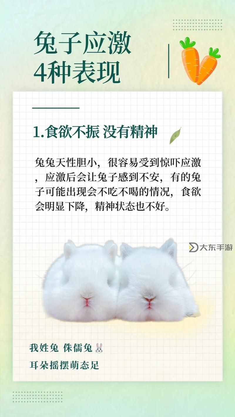 怎么喂老公晚上吃小兔兔呢：甜蜜夜宵的妙招分享圖1