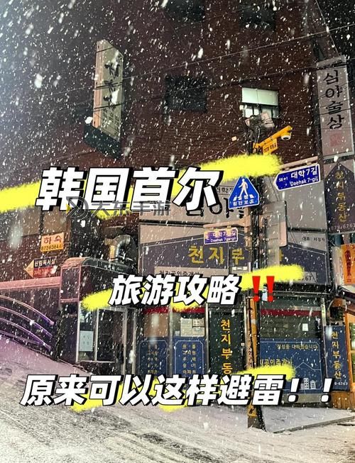 最佳攻略:免費(fèi)觀看高清視頻韓國的最全指南圖2