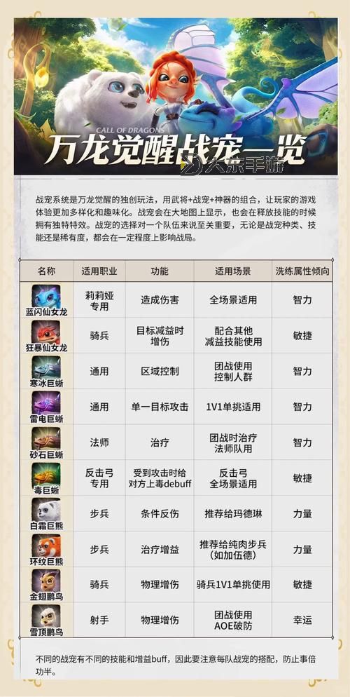 征途追影完美加點(diǎn)攻略：打造最強(qiáng)寵物培養(yǎng)方案圖2