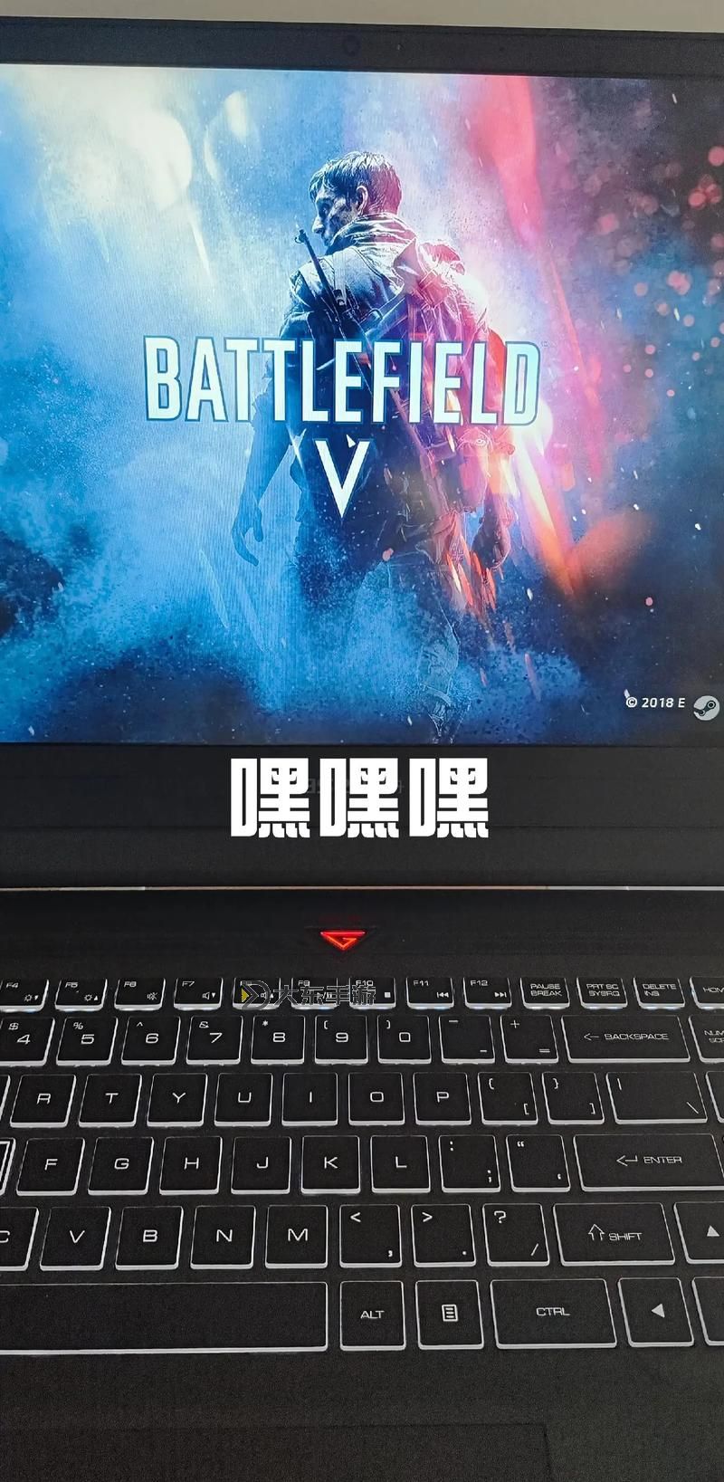戰(zhàn)地5在Steam里叫什么?詳細解答與購買指南圖2