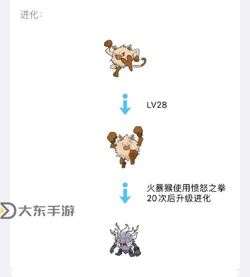 《御龍林進化石在哪里獲得？詳盡攻略指南》圖1
