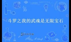 斗羅之我的武魂是鏡子：揭示內(nèi)心的真實與力量