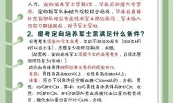 戰(zhàn)友招募：一天完成的高效行動(dòng)指南