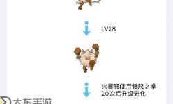 《御龍林進(jìn)化石在哪里獲得？詳盡攻略指南》
