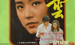 綜瓊瑤之九天一色：夢(mèng)回瓊瑤夢(mèng)境中的唯美篇章