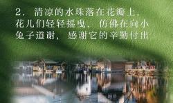 用愛把你小花園灌溉：點亮心中最溫暖的角落