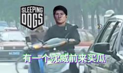 熱血無賴有幾種警察：解析游戲中的不同警察角色類型