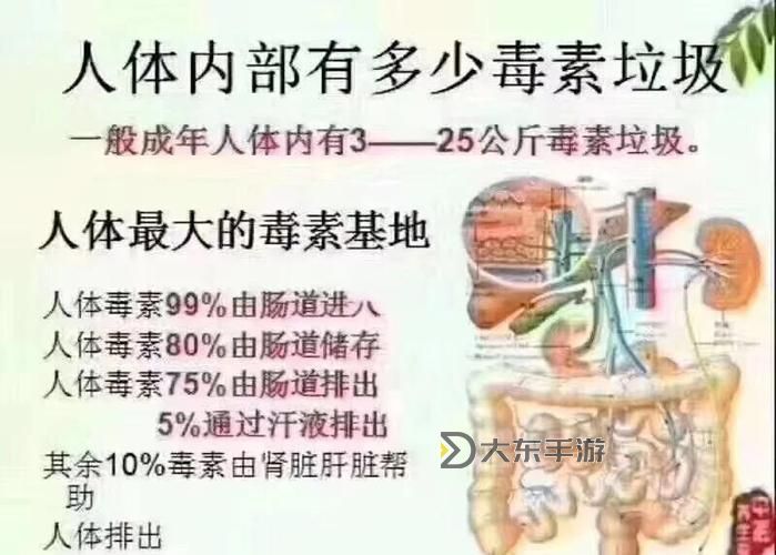 雙盤后身體排毒反應解析:自然排毒的過程與注意事項圖1