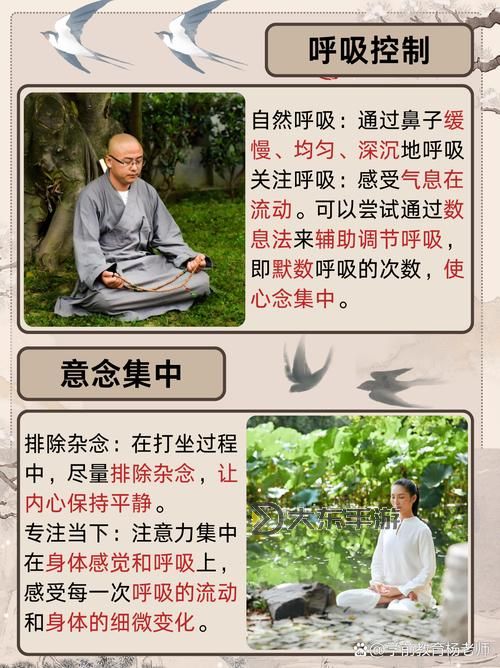 打坐的要點(diǎn)：提升專注力與身心平衡的關(guān)鍵指南圖2