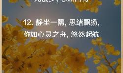 體驗(yàn)心靈寧靜：打坐的故事分享