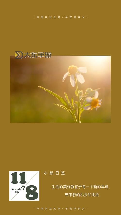 早晨1v2:迎接新的一天的精彩瞬間圖1