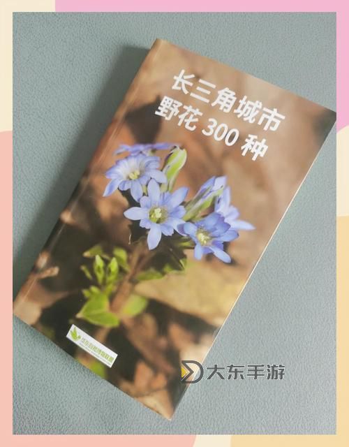日本野花高清中文免費欣賞指南圖1