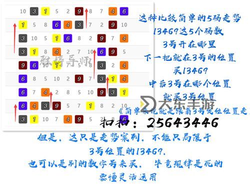 AG飛禽走獸最穩(wěn)押法：穩(wěn)贏技巧全解析圖2