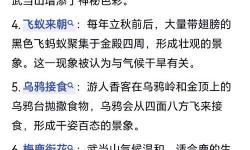 2023年武當山現(xiàn)任掌門是誰：最新權威揭秘