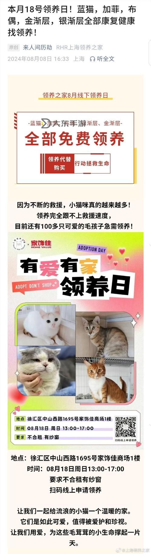 天刀領(lǐng)養(yǎng)貓咪在哪？詳細(xì)地點(diǎn)和流程指南圖1