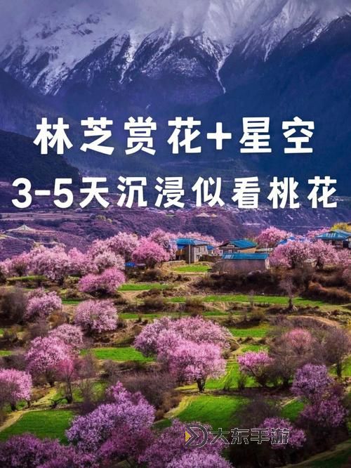 五月天桃花網色綜合:最新動態(tài)與精彩內容全盤解析圖1