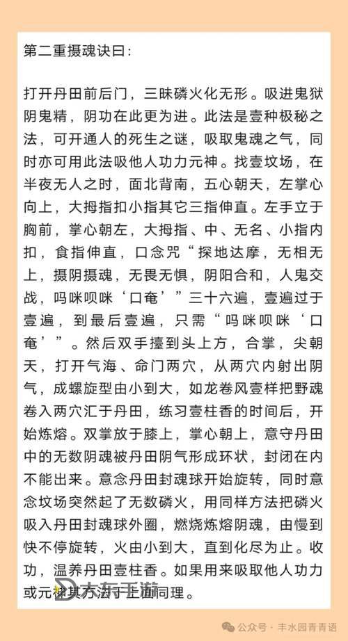 九陰真經(jīng)最強門派解析:誰才是真正的武林至尊圖1