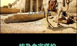 探索未知的奇跡：100版本時空裂縫背后的秘密