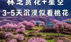 五月天桃花網(wǎng)色綜合：最新動(dòng)態(tài)與精彩內(nèi)容全盤(pán)解析