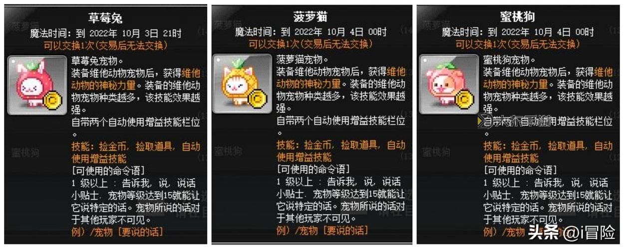 詳解冒險島5轉(zhuǎn)前置任務攻略與注意事項圖2