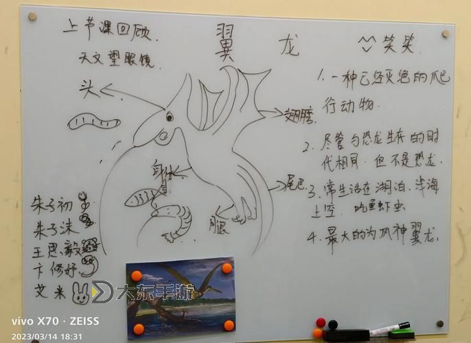 翼神龍球體形的神秘奧義解析圖1