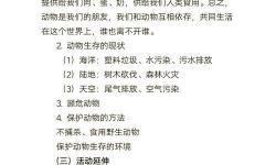 守護生命的力量：我們如何共同拯救小動物