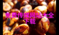 探索精彩內(nèi)容：入禽視頻太深免費(fèi)資源全解析