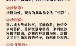 全面解析造三沙僧技能：掌握核心技術(shù)提升戰(zhàn)力