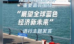 探索中國黃海在線：海洋資訊與生態(tài)保護全景掃描