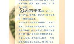 在家怎么安慰自己：有效的自我撫慰技巧與方法