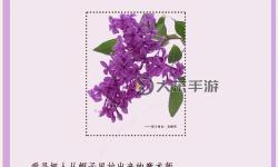淺談“五月丁香六月綜合”在現(xiàn)代文學(xué)中的象征意義