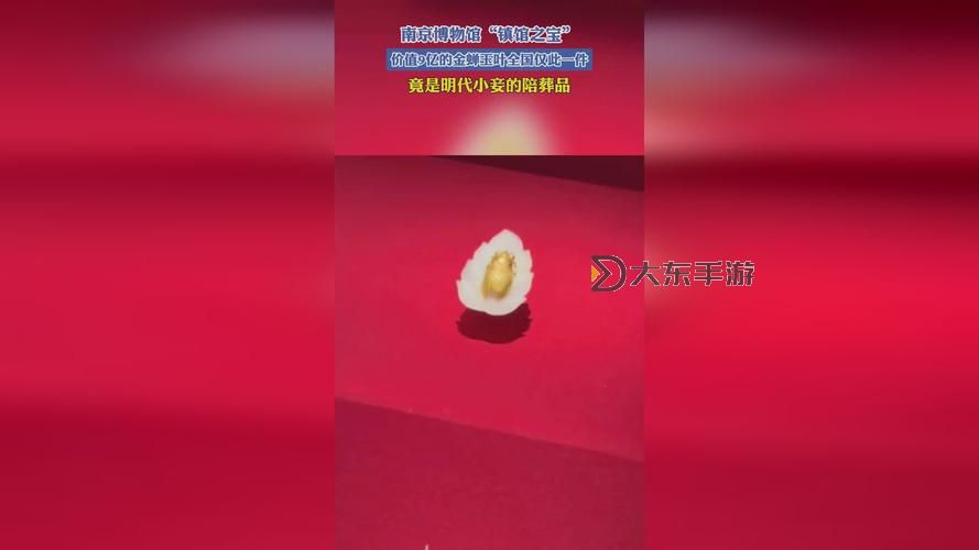 男女一起努力做豆?jié){的視頻軟件：開啟溫馨手作時光圖1