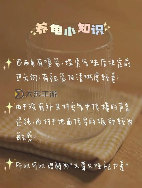 掌握技巧：自己降低龜靈敏度的方法與實用建議圖1