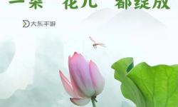 用愛把你小花園灌溉：細膩呵護歲月靜好