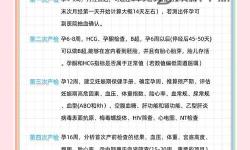 孕婦趟開(kāi)大BB：產(chǎn)檢中的溫馨時(shí)刻與注意事項(xiàng)