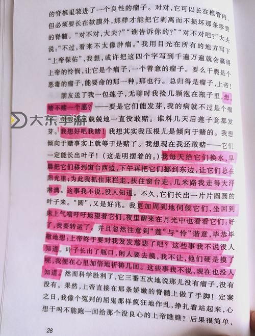 自己對準了坐下來視頻:展現(xiàn)真實瞬間的記錄與反思圖1