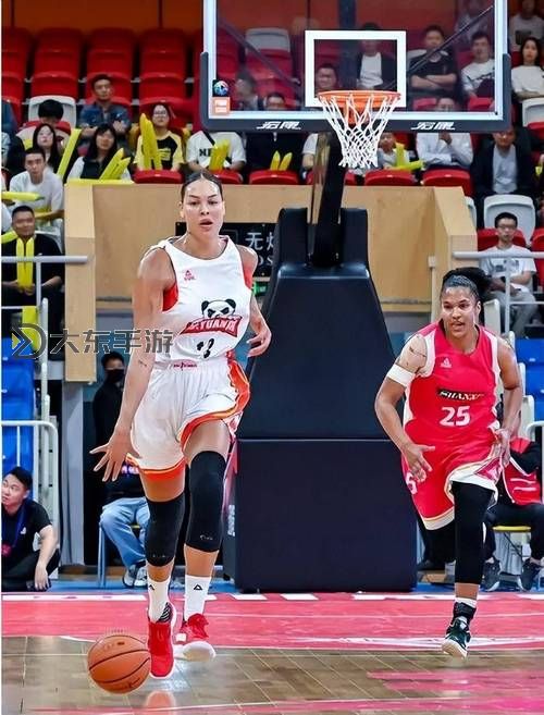 CBA還打不過WNBA:中國籃球的差距與未來突破圖2