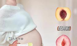 漲精裝滿肚子懷孕播放器：揭秘孕期養(yǎng)護新體驗