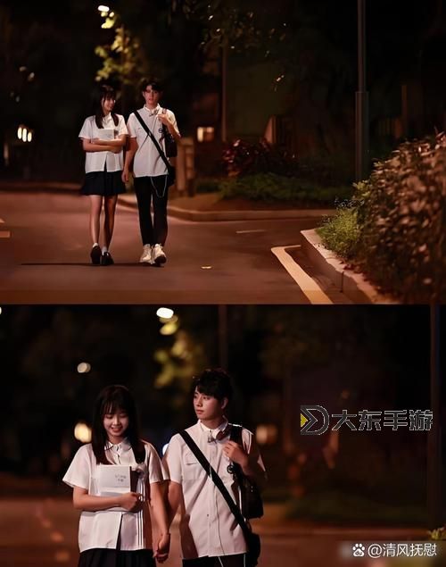《終章之夜：最后一次看流星雨的告別時刻》圖1