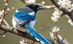 探索內(nèi)容豐富的資源平臺——26uuuu丁香網(wǎng)全新體驗(yàn)