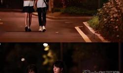 《終章之夜：最后一次看流星雨的告別時刻》