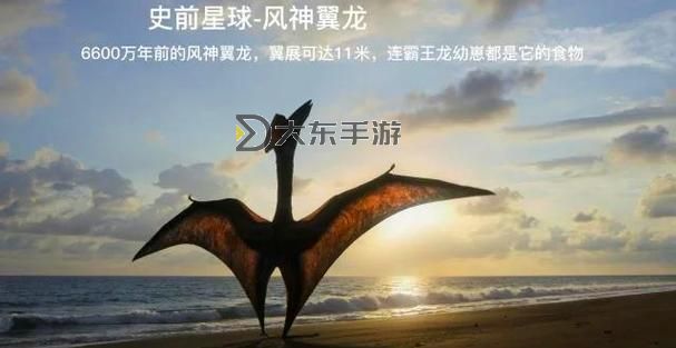 天空龍的特點(diǎn):翱翔天地的神奇生物圖1