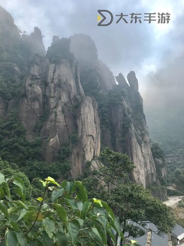關(guān)于生態(tài)系統(tǒng)動態(tài)研究的關(guān)鍵工具:Holling圓盤實驗分析圖1