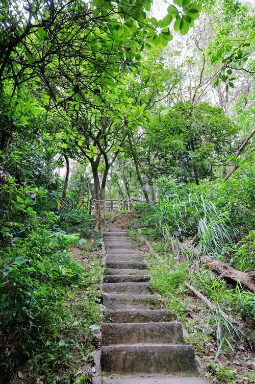 《拳擊俱樂部》前中期賺錢及屬性技巧介紹圖2
