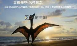 天空龍的特點：翱翔天地的神奇生物