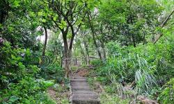《拳擊俱樂(lè)部》前中期賺錢(qián)及屬性技巧介紹