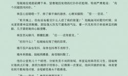揭秘最刺激的床上小說：讓你欲罷不能的極致體驗