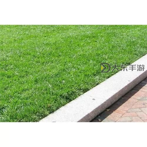 探索無限可能：如何下載與使用在線天堂種子圖1