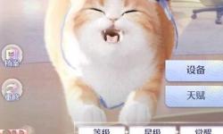 《超喵星計劃》氪金攻略  《超喵星計劃》哪些禮包值得買？