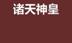 神皇電腦版下載 電腦玩神皇模擬器哪個好？